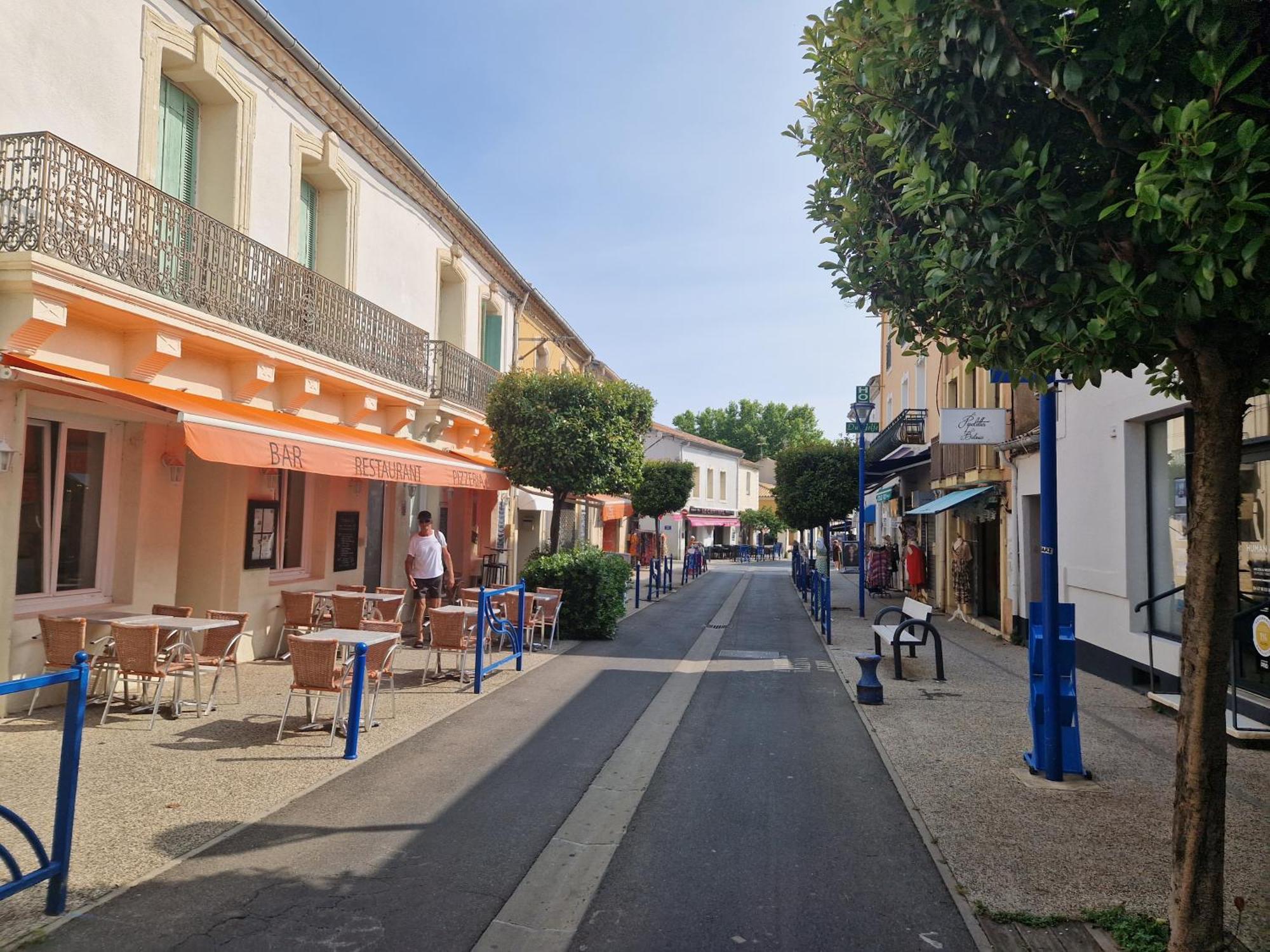 Casa de Férias Maison T4 Centre Et *